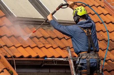 Démoussage et hydrofuge de toiture à Sainte-Foi